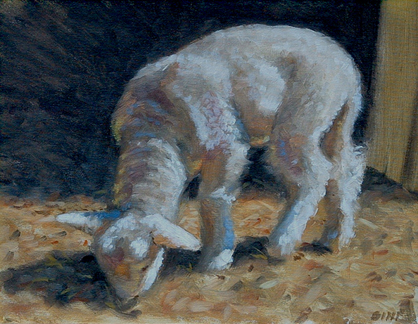 lamb