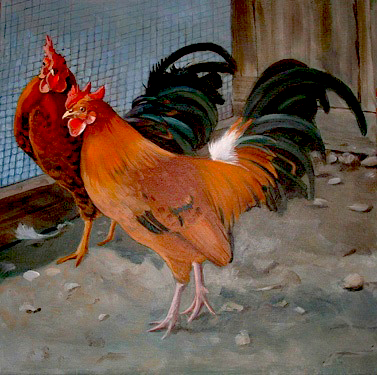 rooster pair rooster pair