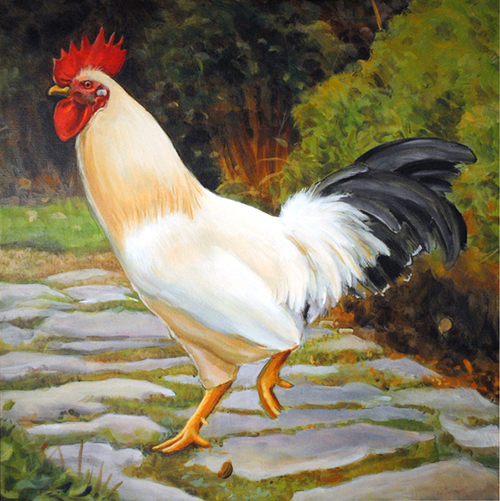 white rooster