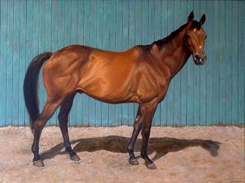 apollo apollo