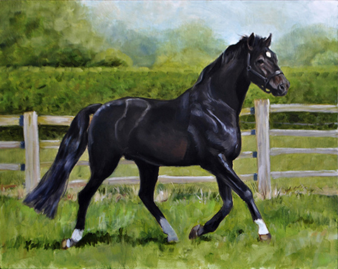 blacky blacky