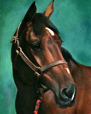 Apollo Apollo