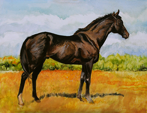 darkhorse darkhorse