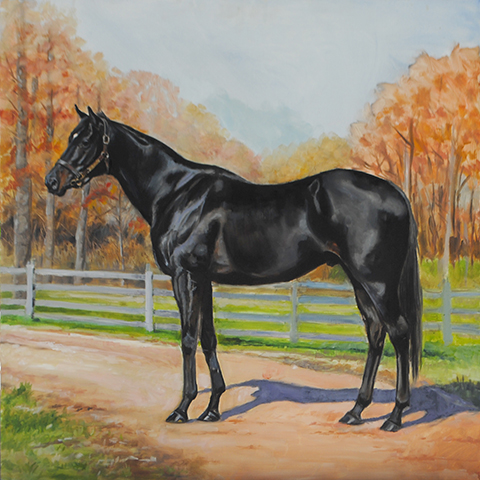 Black Horse