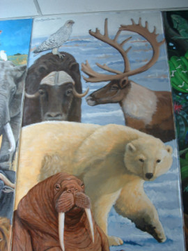 animal_biomes_01 animal_biomes_01