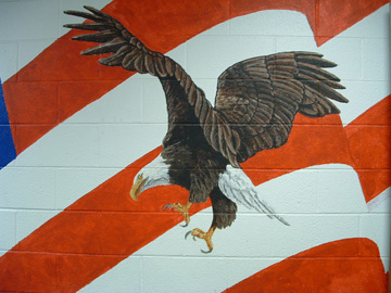 eagle_01 eagle_01