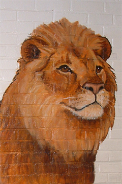 lion_01 lion_01