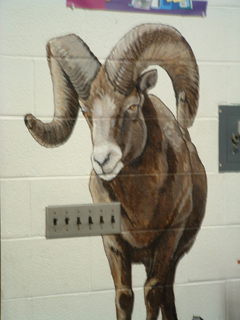 ram_01 ram_01