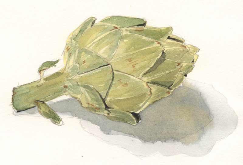 artichoke artichoke