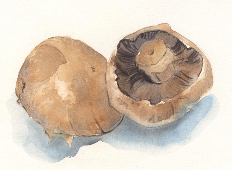 artichoke artichoke